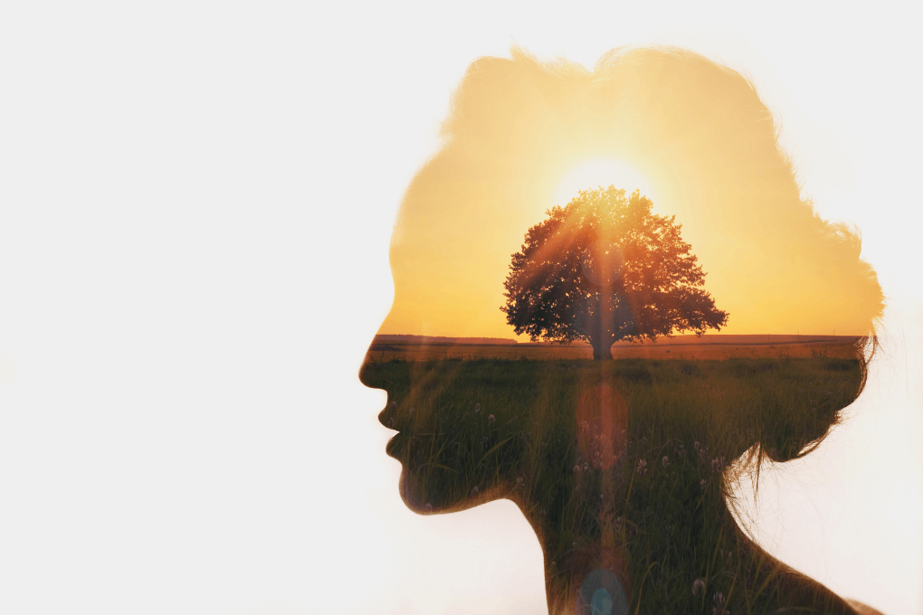 43 Personal Development Questions to Ask Yourself for Growth 6 deep personal growth questions